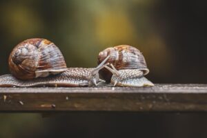フリーランスエージェントで失敗しないためのポイントは？